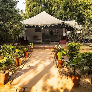 Tiger Machan Resort